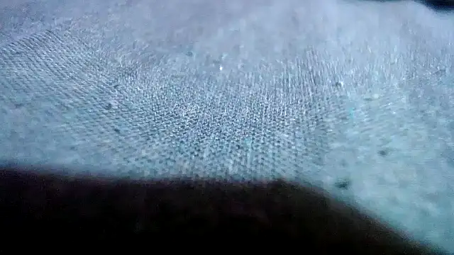 Lelety79 online show from 11, 4, 2026