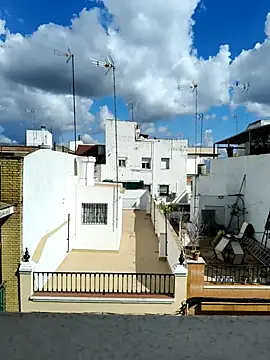 pigboybi online show from 1, 3, 2025