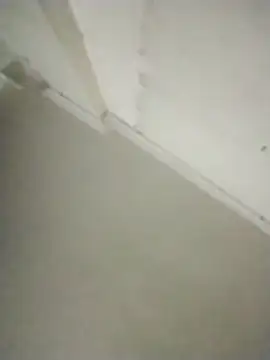 kevin613603 online show from 15, 2, 2026