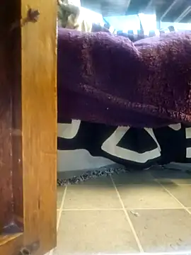 Daza67 online show from 8, 1, 2026