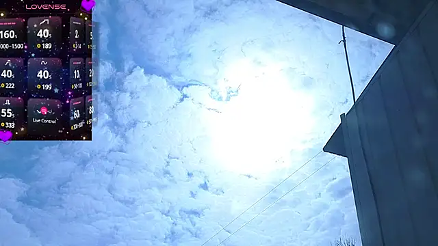 Miss Flexi fit online show from 22, 3, 2025