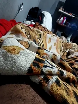 Mailsonp online show from 26, 2, 2026