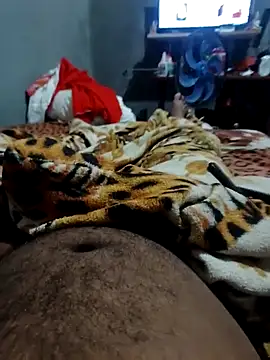 Mailsonp online show from 12, 3, 2026