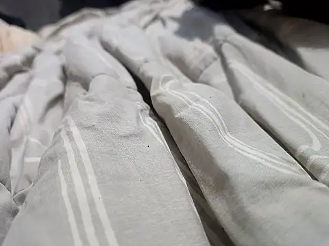 Mailsonp online show from 30, 3, 2026