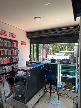  alabina  online show from 13, 1, 2026