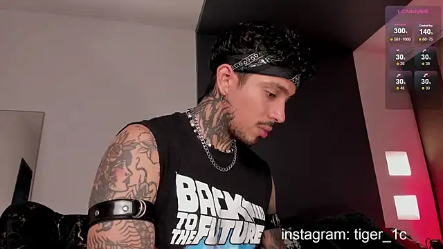 Snapshot of TigerStripes1_ chatting on 11, 12, 2024 TigerStripes1 online show from 11, 12, 2024