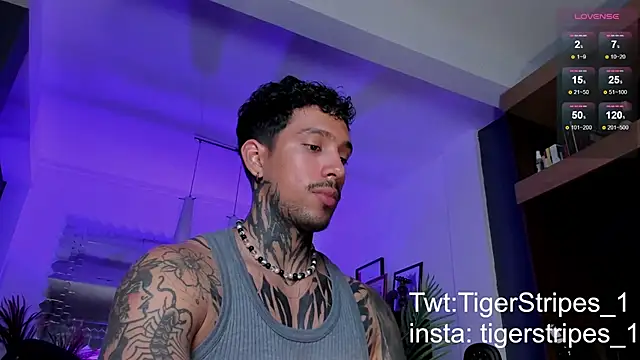 Snapshot of TigerStripes1_ chatting on 2, 3, 2025 TigerStripes1 online show from 2, 3, 2025