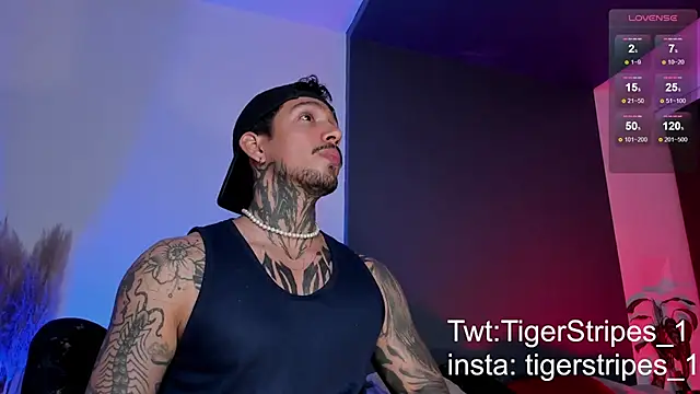 Snapshot of TigerStripes1_ chatting on 15, 3, 2025 TigerStripes1 online show from 15, 3, 2025