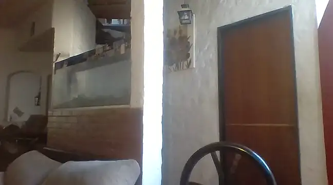 Stevenson988 online show from 31, 1, 2025