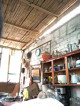 kvr27 online show from 28, 11, 2025