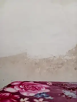 Snapshot of 09punjabi chatting on 19, 12, 2024 09punjabi online show from 19, 12, 2024